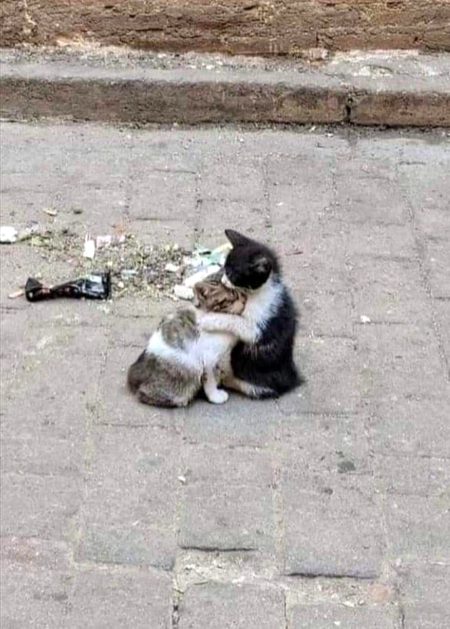 Interesting Posts image