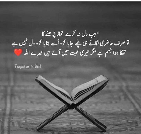 Islamic Quotes image