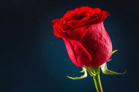 Beautiful Nature image