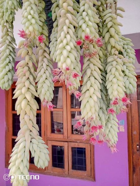 Beautiful Nature image