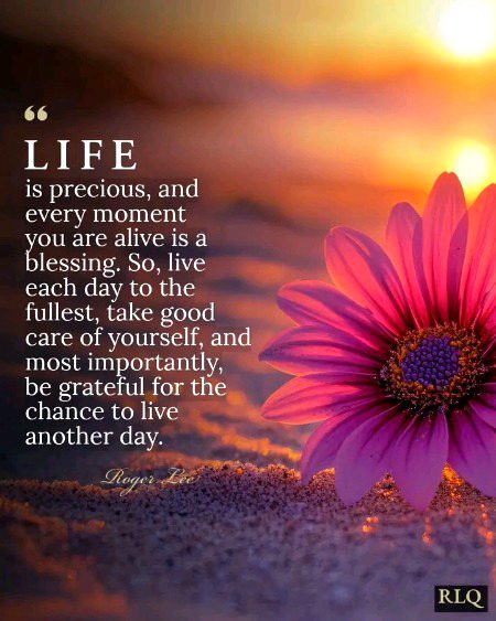 Motivational Quotes image