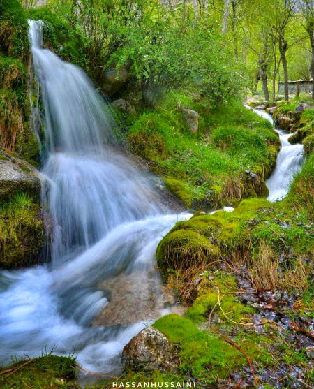 Beautiful Nature image