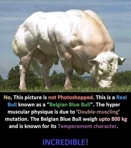 Interesting Posts image