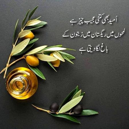 Asalam alaikum