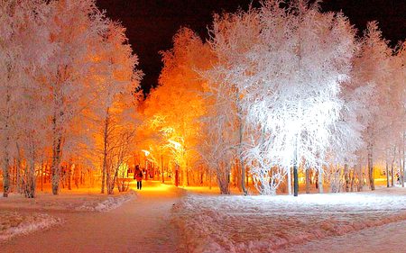 Beautiful Nature image