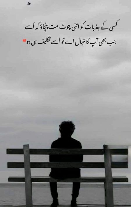 درد اور دل وہ دل ہی کیا جس میں درد نہ ہو اور دردے دل نہ ہو۔