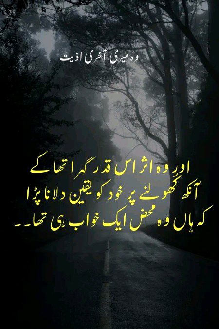 Romantic Novels image