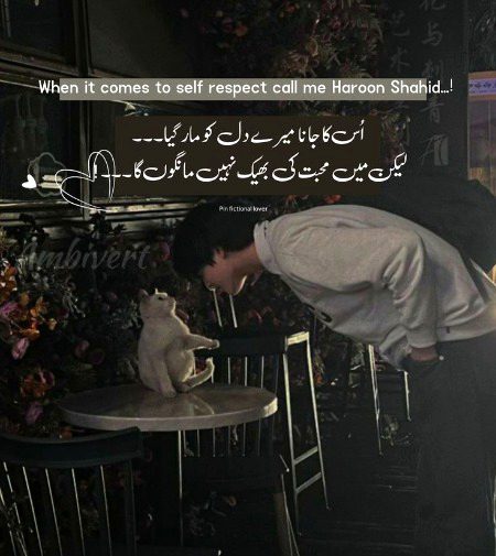 Attitude Poetry image