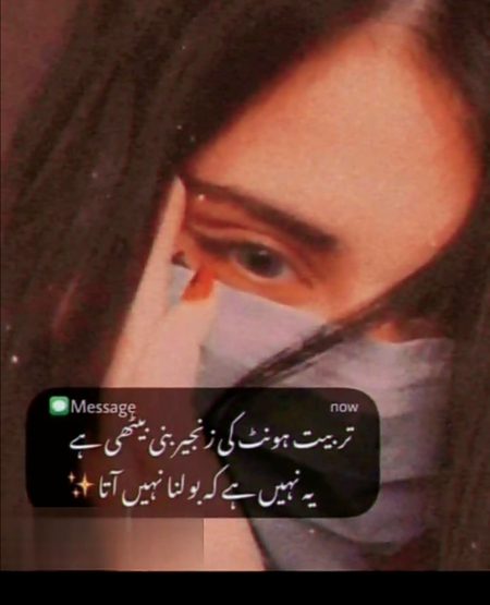 Attitude Quotes image