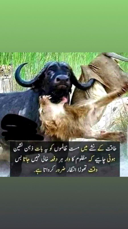 log zalim hain nasheman jala date hain
dhika k sagar ki jhalak zehar pila dete hain
kis tarha tum se karen khatam dosti
tum se milte hi zamane ko bhula dete hain