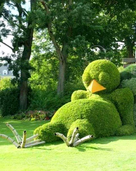 Beautiful Nature image