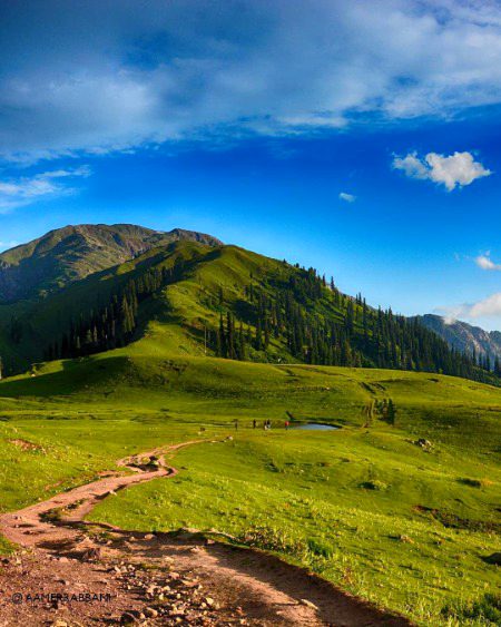 Beautiful Nature image