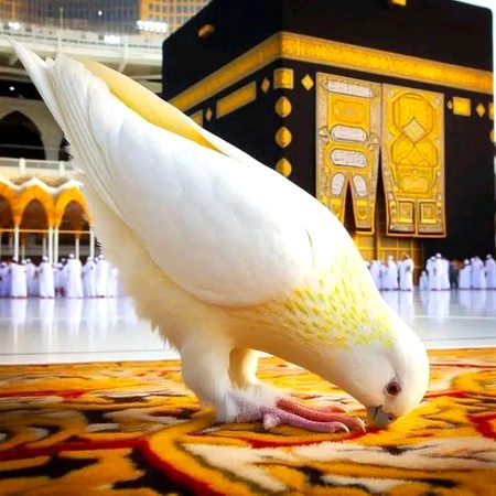 Beautiful Nature image