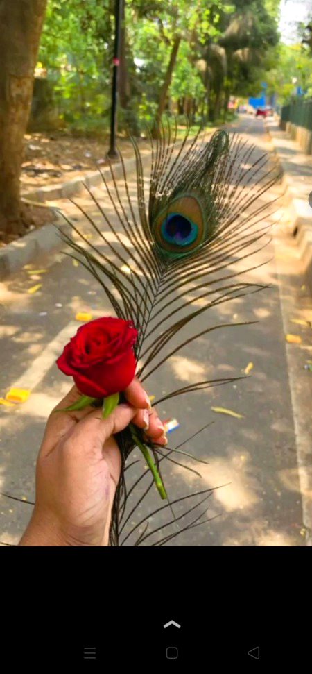 natural ...🥰🌿🌻💮🌼