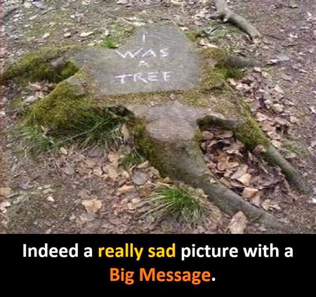 Memes & Satire image