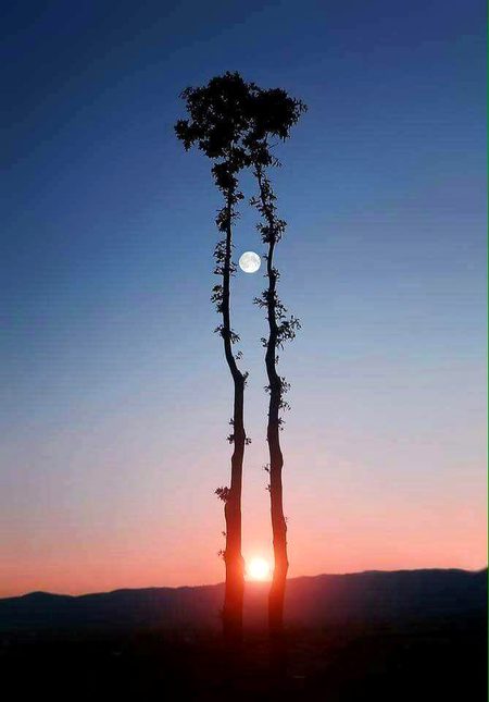 Beautiful Nature image