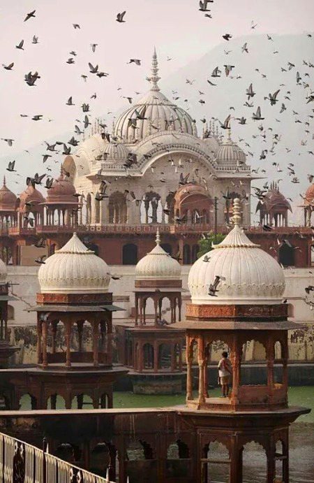 Beautiful Structures image