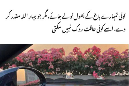 Indeed......🌸🤍