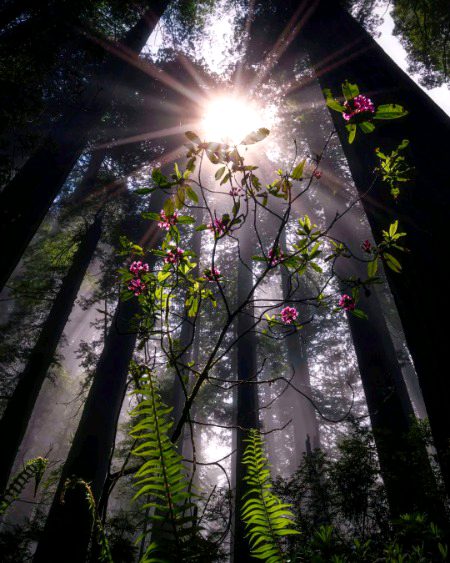 “If the light is in your heart, you will find your way home.”
Rumi