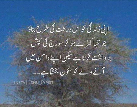 Kia koi hen is dark ky tarha.