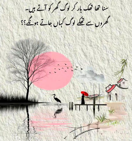 🤔🤔🤔 eska koi to btay mjhe S ji ap bta do