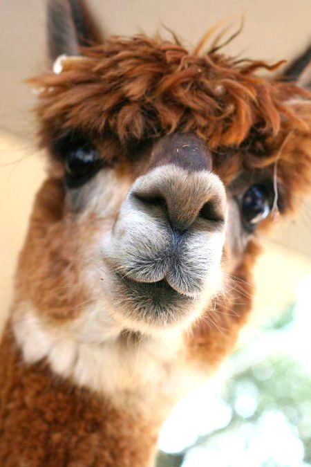 Beautiful Nature image