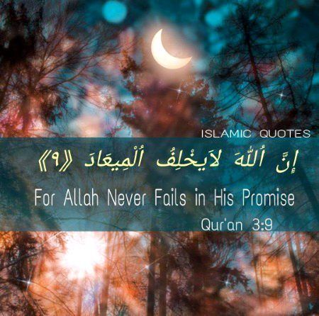 Islamic Quotes image