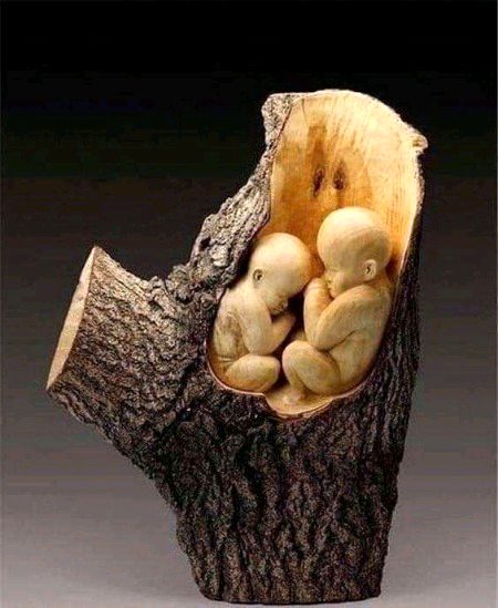 Amazing art with wood in fallen trees...!🙃