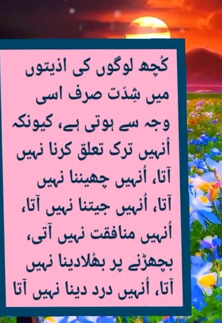 Ehsas m hoti h tkleef aksar ...achy rehty hn wo log ...jo kisi ki perwah nh krty
