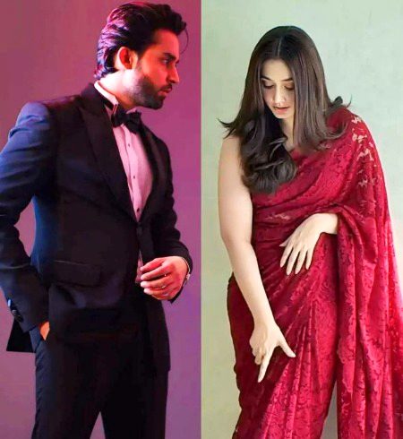 Pakistani Celebs image