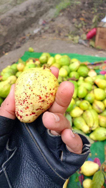 Health & Beauty image