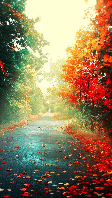 Delightful Street Scene