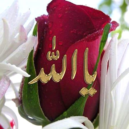 Digital Art image
