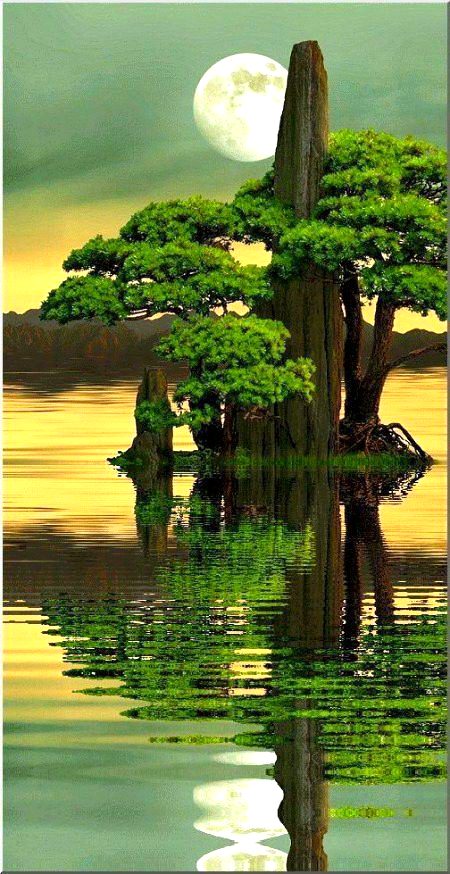 Beautiful Nature image