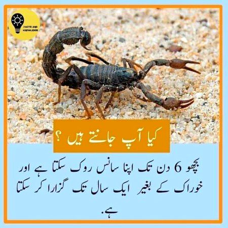 Interesting Posts image