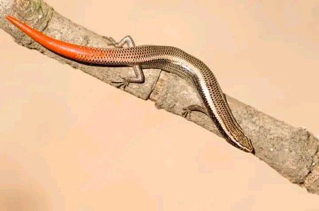 Beautiful Nature image