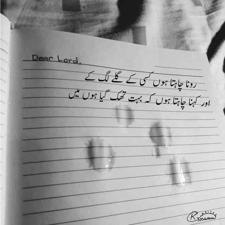 💔نادان دل🙂