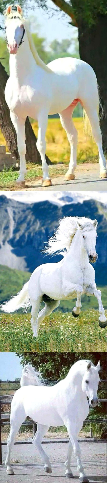 Beautiful Nature image