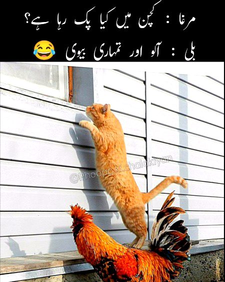 Memes & Satire image