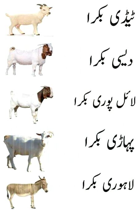 Interesting Posts image