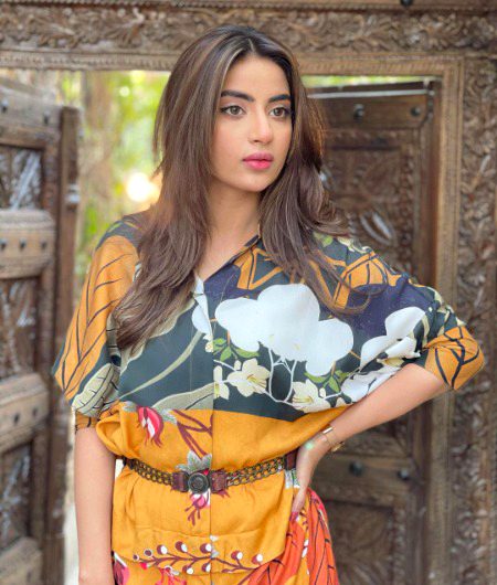 Pakistani Celebs image