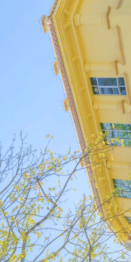 Beautiful Structures image