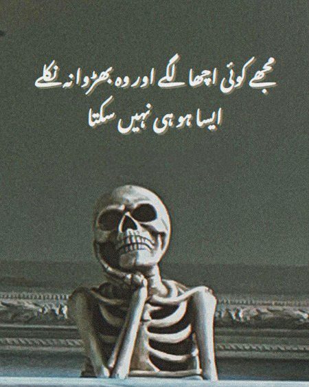 Memes & Satire image