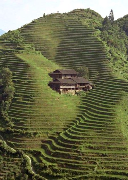 Beautiful Nature image