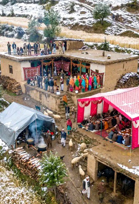 Beautiful Nature image