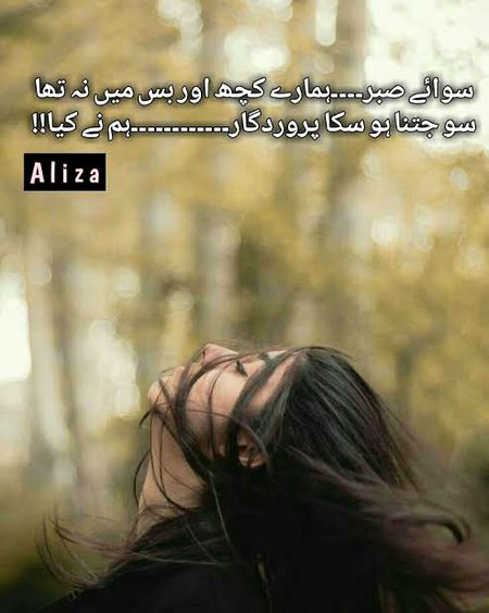 اب اختتام کو ہے سخی حرف التماس. . . 
کچھ ہے تو اب وہ سامنے دست دعا کے لا. . . 
پیماں وفا کے باندھ مگر سوچ سوچ کر. . . 
اس ابتدا میں یوں نہ سخن انتہا کے لا