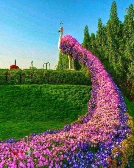 Beautiful Nature image