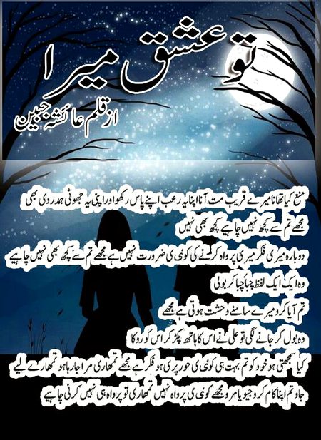 Romantic Novels image