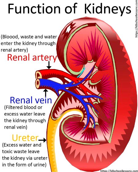 Tips for Students image