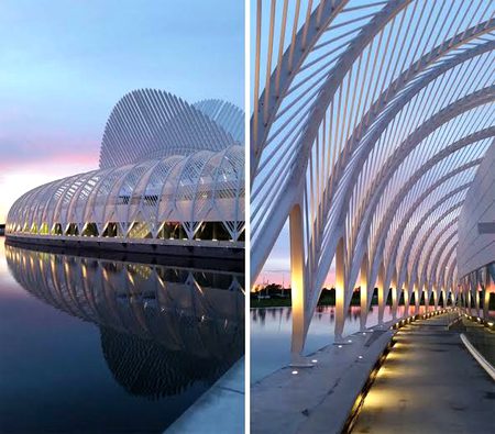 Beautiful Structures image